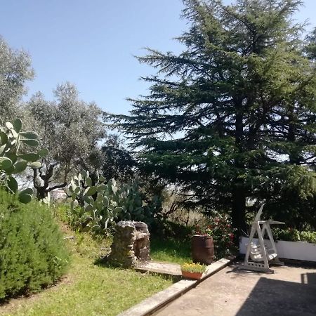 真扎诺-迪罗马La Campagna Di Rosy公寓 外观 照片